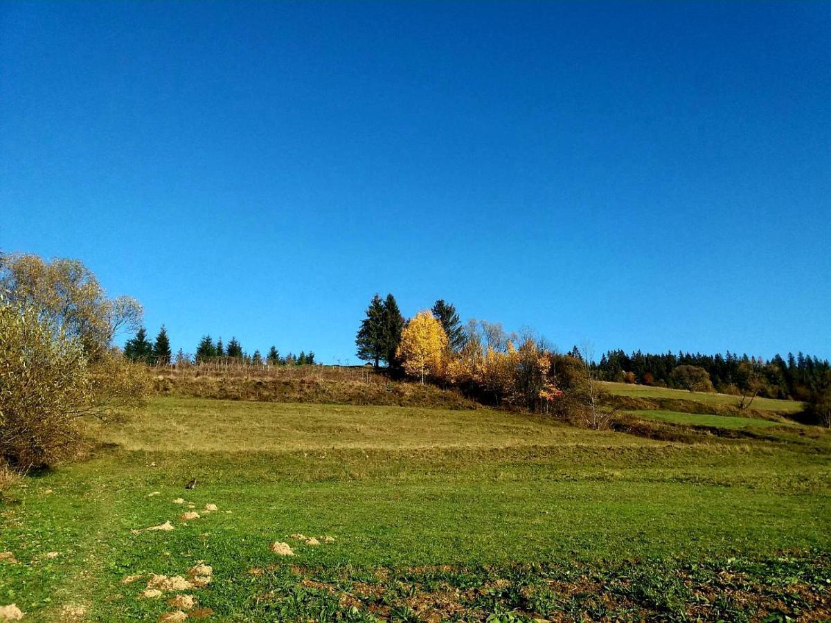 Gostynna Rodyna Hotel Izki Luaran gambar