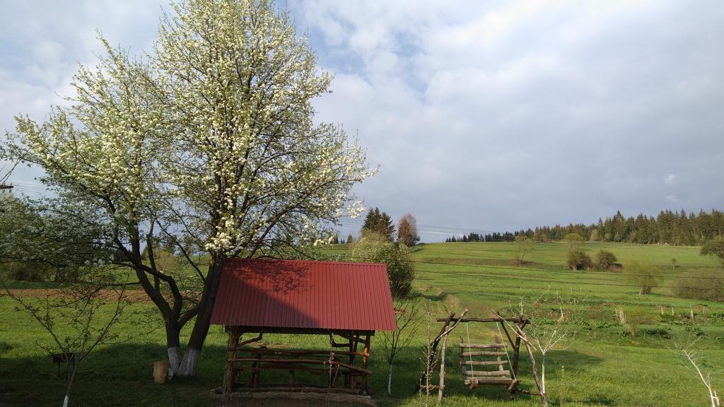 Gostynna Rodyna Hotel Izki Luaran gambar
