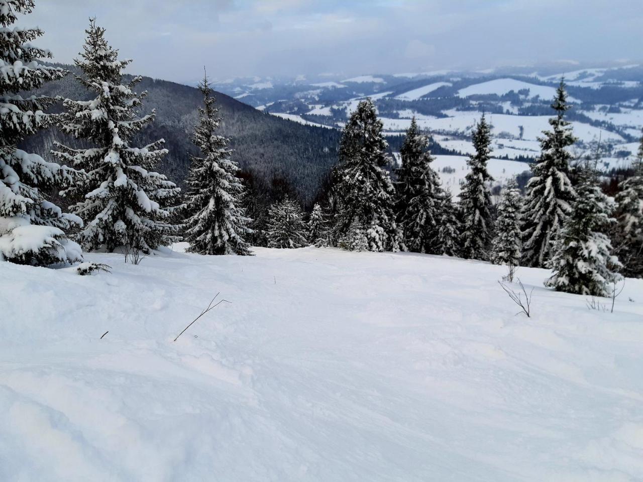 Gostynna Rodyna Hotel Izki Luaran gambar