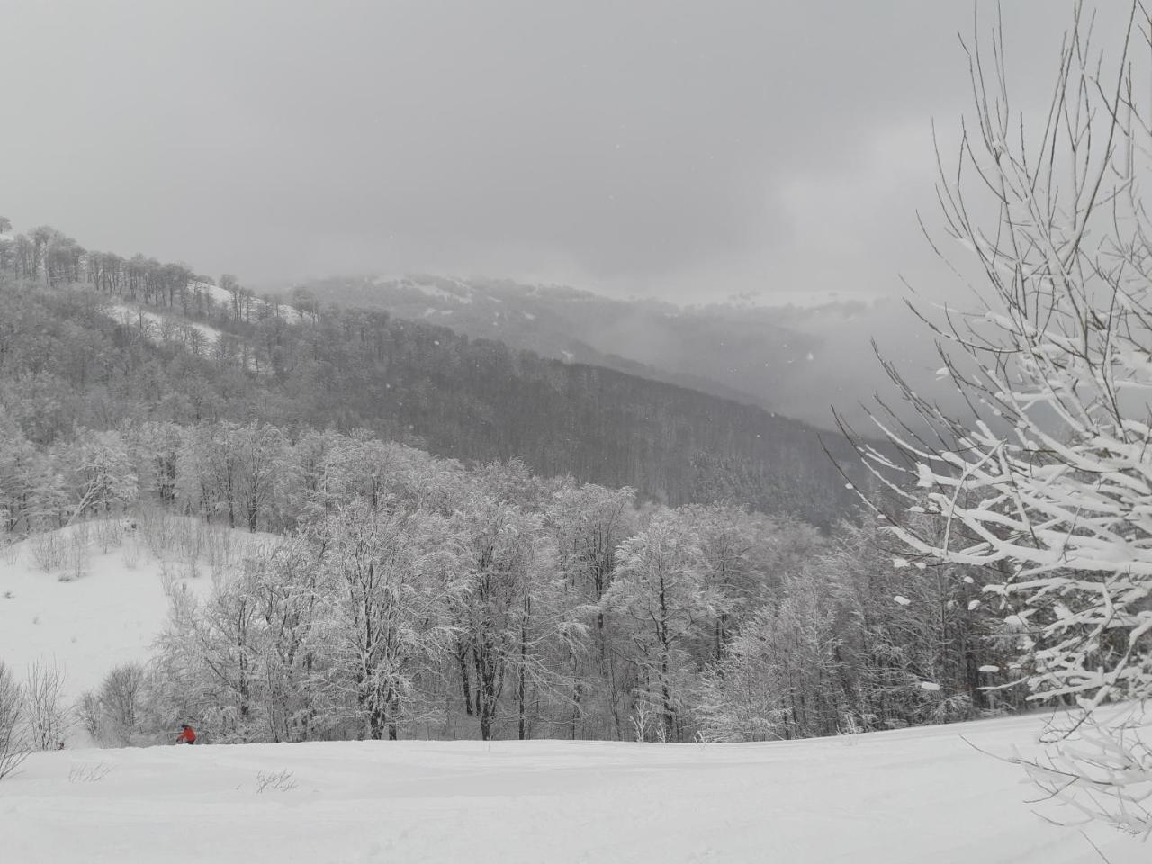 Gostynna Rodyna Hotel Izki Luaran gambar